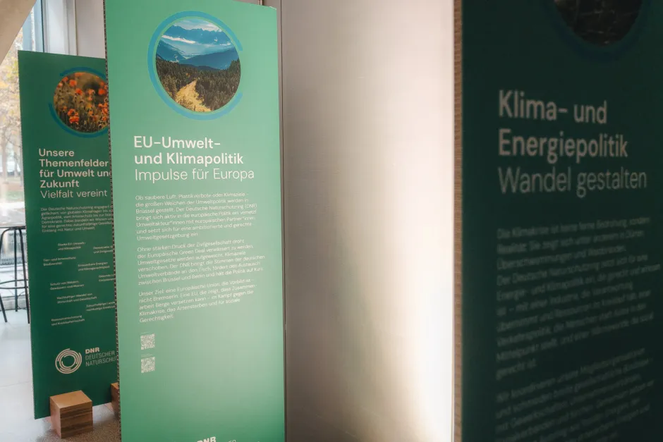 Ausstellung 75 Jahre DNR - Stelen mit thematischen Schwerpunkten (grüne Tafeln mit Beschreibung der Themenschwerpunkte und Fachthemen)